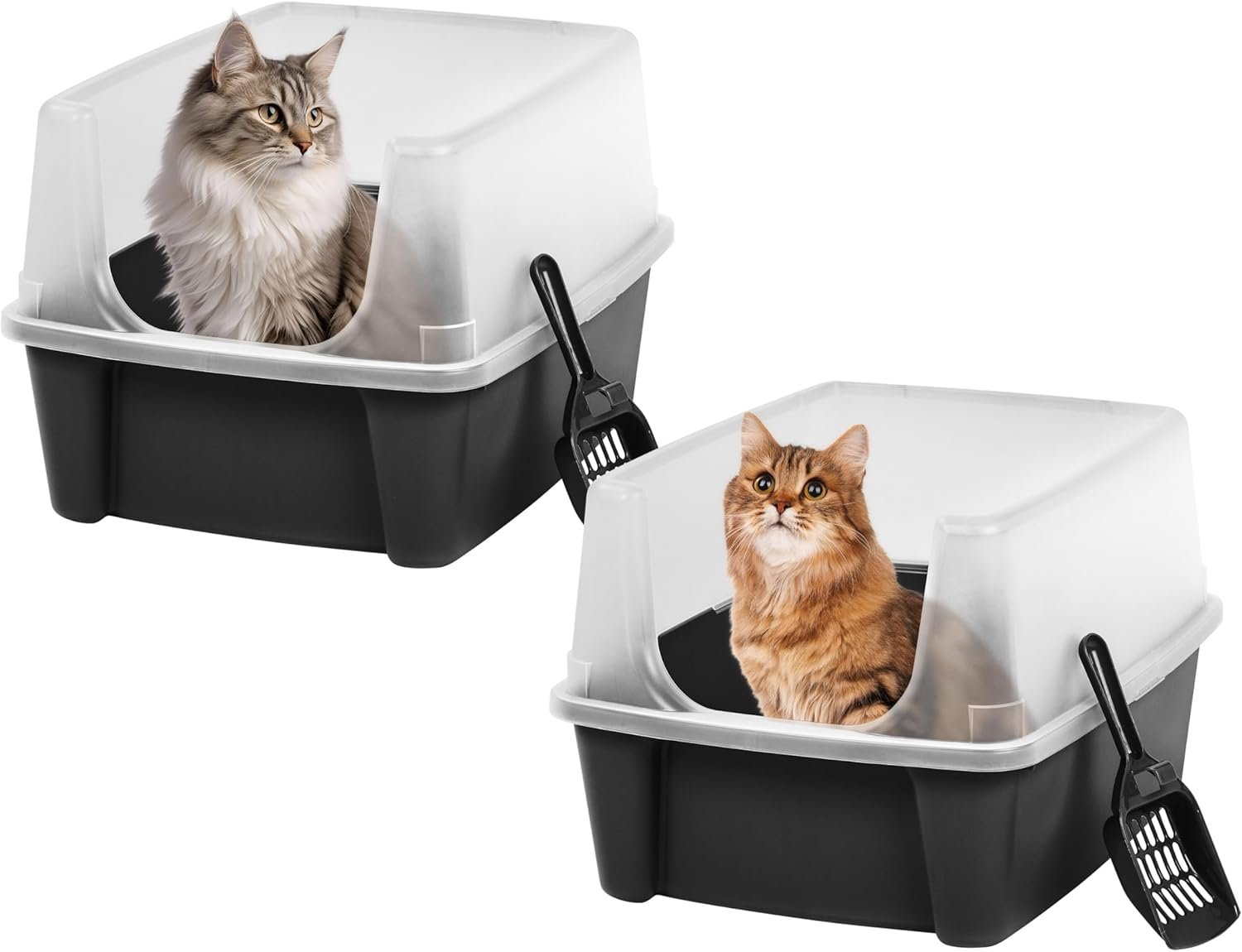 IRIS USA 2 Pack Large Open Top Cat Litter Box with High Sides, Scatter Shield & Scoop, Black, for Indoor Cats, Kittens or Multicat Homes
